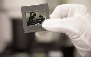 Dia-Scan Service in Nürnberg bei Foto Seitz