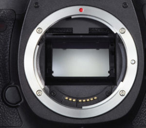 Professionelle Sensorreinigung bei Foto Seitz in Nürnberg - Innenstadt