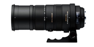 Sigma 150-500mm f5-6.3 DG APO OS HSM bei Foto Seitz