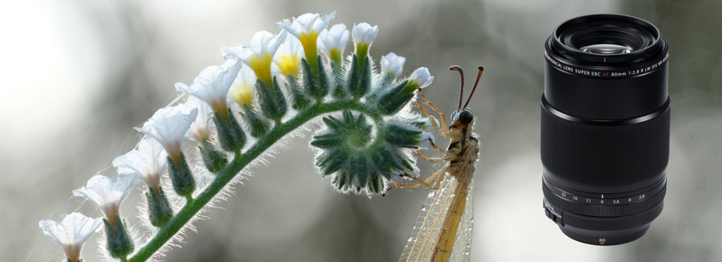 FUJINON XF80mmF2.8 R LM OIS WR Macro FUJINON XF 80mm F2.8 R LM OIS WR Macro jetzt neu bei Foto Seitz in Nürnberg